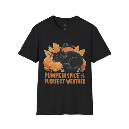 Pumpkin Spice & Purrfect Weather Cozy Fall Vibes Cat T-Shirt