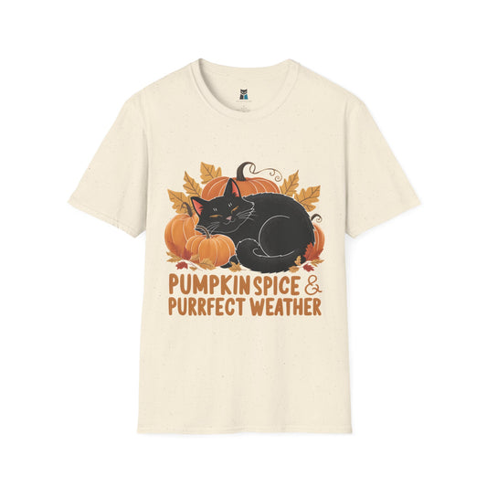 Pumpkin Spice & Purrfect Weather Cozy Fall Vibes Cat T-Shirt