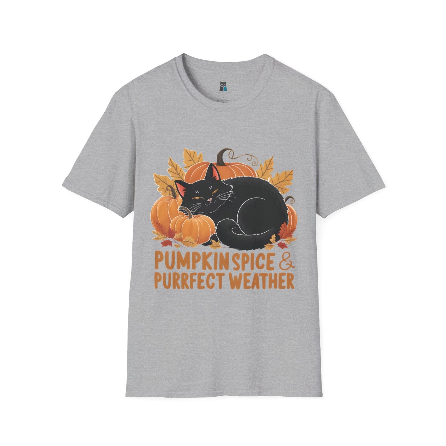 Pumpkin Spice & Purrfect Weather Cozy Fall Vibes Cat T-Shirt